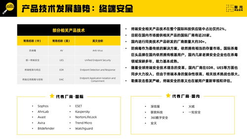 斯元商业咨询 2023年网络安全科技供应链报告 