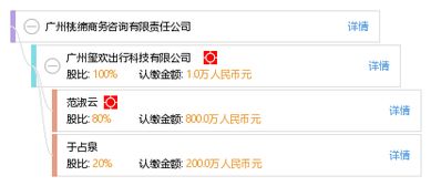广州桃绵商务咨询有限责任公司